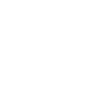 Favicon White